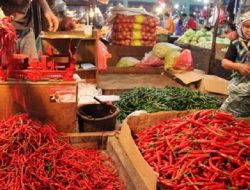 Cabai di Jateng Alami Penurunan Panen, Distabun Sebut Turun Hingga 40 Persen, Ini Alasannya