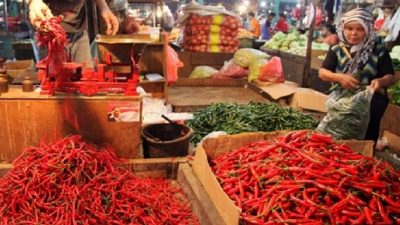 Cabai di Jateng Alami Penurunan Panen, Distabun Sebut Turun Hingga 40 Persen, Ini Alasannya