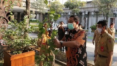 Balaikota Semarang Dirancang Jadi Green Building