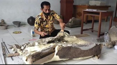Fosil Banteng Purba usia Ribuan Tahun Ditemukan di Blora
