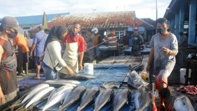 Potensi Komoditas Laut Hasil Tangkapan Nelayan Perlu Dioptimalkan
