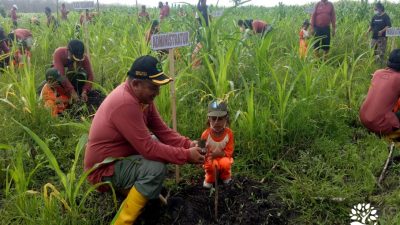 Ajarkan Gemar Menanam Sejak Dini, Perhutani Ajak Anak TK ke Hutan