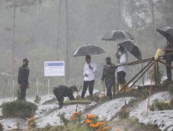 Jokowi Berharap Pendapatan Petani Bawang Temanggung Bisa Lebih Meningkat