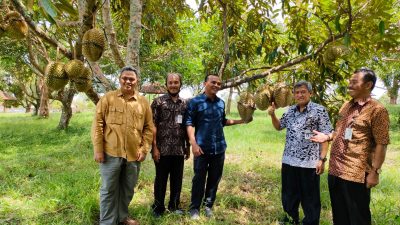 Komisi B Dorong Revitalisasi Balai Benih di Jateng
