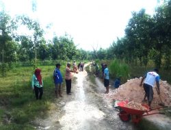 LMDH di Blora Bangun Jalan Desa Dari Dana Sharing