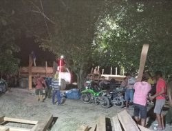 Perhutani Blora Amankan Pelaku Beserta Ratusan Kayu Illegal