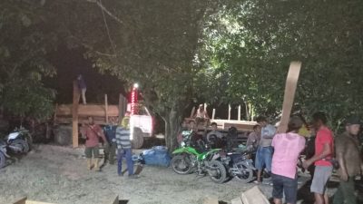 Perhutani Blora Amankan Pelaku Beserta Ratusan Kayu Illegal