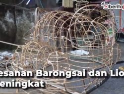 Pesanan Barongsay dan Liong Meningkat