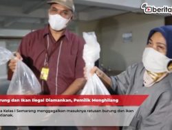 Ratusan Burung dan Ikan Ilegal Diamankan