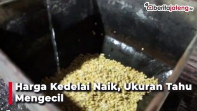 Harga Kedelai Naik, Ukuran Tahu Mengecil