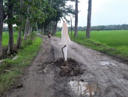 Pemkab Blora Segera Bangun Sejumlah Jalan Kabupaten yang Rusak