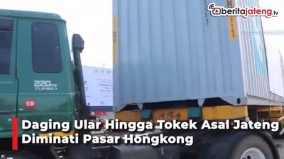 Daging Ular Hingga Tokek Asal Jateng Diminati Pasar Hongkong