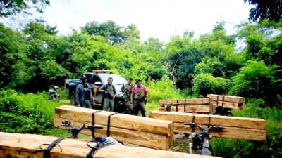 Tim Buser Perhutani Gagalkan Pencurian Kayu Jati
