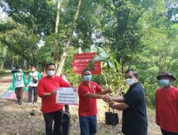 Alfamart Sahabat Bumi Tanam 100 Pohon di Hari Hutan Sedunia