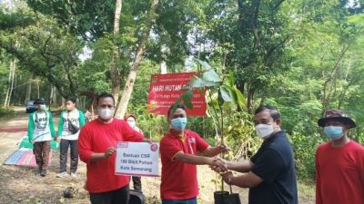Alfamart Sahabat Bumi Tanam 100 Pohon di Hari Hutan Sedunia