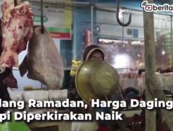[Video] Jelang Ramadan, Harga Daging Sapi Diperkirakan Naik