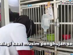 [Video] Musim Hujan, Hewan Peliharaan Rentan Kena Flu