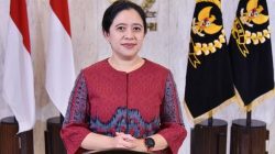 [Video] Puan Ngevlog saat Jokowi Hadap Megawati