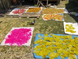 Dinkes Blora Peringatkan Produsen Krupuk Mengandung Rodamin B