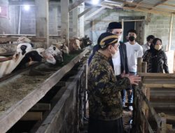 Target Selesaikan Sertifikasi Halal RPH dengan Kerjasama Perwakilan BI Jateng