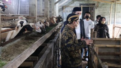 Target Selesaikan Sertifikasi Halal RPH dengan Kerjasama Perwakilan BI Jateng