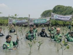 Gojek Tanam 1.000 Bibit Pohon Inisiasi Fitur Pohon Kolektif GoGreener