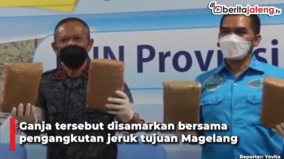 [Video] Nekat, 50 Kg Ganja Diselundupkan di Bak Truk