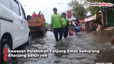 [Video] Banjir Rob Semarang Setinggi Dada, Warga Terjebak