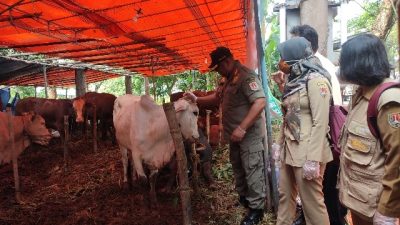 Sidak Penjual Hewan Kurban, Tim Gabungan Pemkot Semarang Temukan Hewan Terpapar PMK