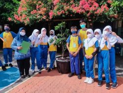 Siswa SDN Pedurungan Tengah 02 Semarang Peduli Lingkungan dengan Aksi Tabulampot