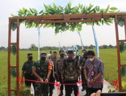 TMMD Reg ke-113 Tahun 2022 Ditutup, Terus Bersinergi untuk Pembangunan 