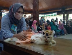 Serunya Lomba Fashion Show Kucing di Blora