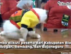 [Video] Seru, Lomba Fashion Show Kucing di Blora