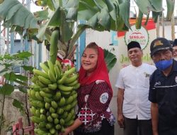 Pemkot Dorong Semarang Jadi Kota Pesona Pisang