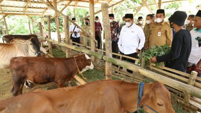 Masyarakat Diminta Segera Beli Hewan Kurban Antisipasi Kendala Kesehatan Hewan