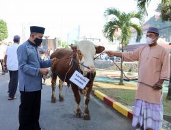 Rayakan Idul Adha, Polda Jateng dan Jajaran Serahkan Ratusan Hewan Kurban