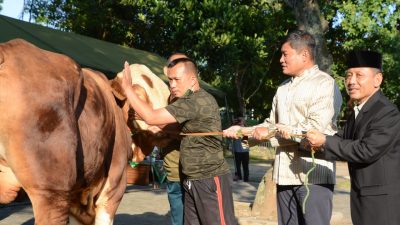 Perayaan Idul Adha dan Penyembelihan Hewan Kurban di Makodam