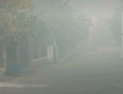 Kabut Asap Kebakaran PT Saprotan Utama Jadi Penyebab Polusi Udara di Semarang