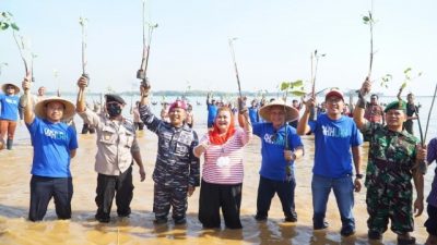 12.000 Mangrove Ditanam di Pantai Mangunharjo Semarang
