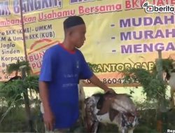 [Video] Terdampak PMK, Penjualan Hewan Kurban Turun Drastis