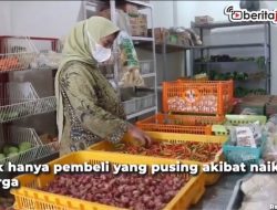 [Video] Harga Sayuran Naik Drastis, Dampak Krisis Pangan?