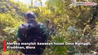 [Video] Evakuasi Pesawat Tempur Jatuh, Petugas Cari Bagian Tubuh Pilot