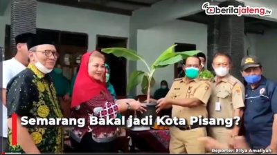 [Video] Semarang Bakal jadi Kota Pisang?
