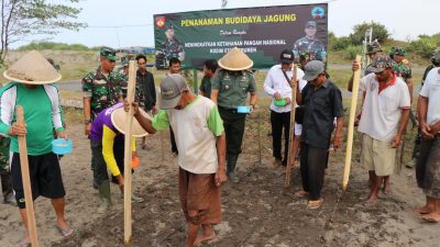 Jadi Lahan Produktif, Kodim Kebumen Ubah Lahan Kosong TNI AD Jadi Kebun Jagung