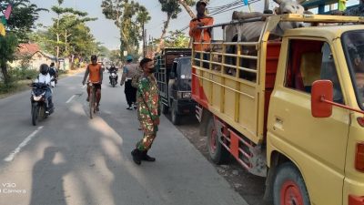 Petugas Gabungan di Blora Lakukan Pemeriksaan Hewan Ternak di Perbatasan