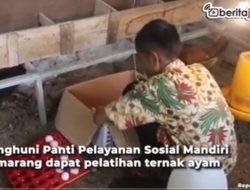 [Video] Pelatihan Ternak Ayam untuk Penghuni Panti Sosial