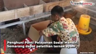 [Video] Pelatihan Ternak Ayam untuk Penghuni Panti Sosial
