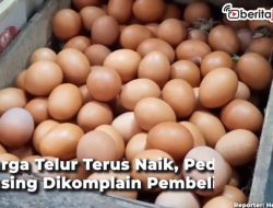 [Video] Harga Telur Terus Naik, Pedagang Pusing Dikomplain Pembeli