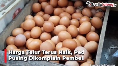 [Video] Harga Telur Terus Naik, Pedagang Pusing Dikomplain Pembeli