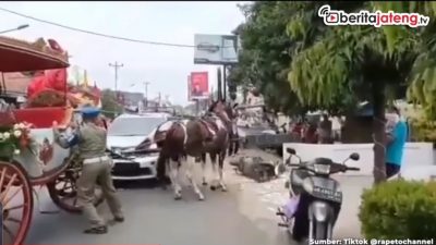 [Video] Kuda Kereta Kencana Bupati Pekalongan Tabrak Mobil